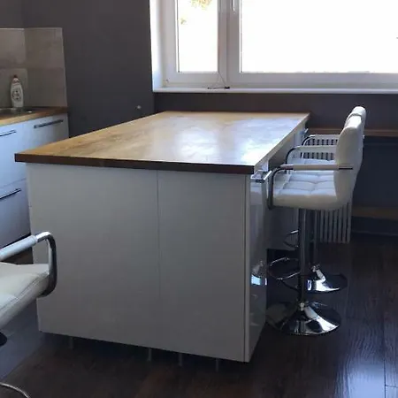 Przestronne Mieszkanie Blisko Centrum Appartement *